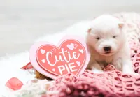 processed/943784e9-87fa-48c3-a261-490903603f8d/listing/a3fa1c59-e651-4dac-b463-4dbb4417cb42/f511a314-a727-4387-ad22-82c75f070a4f