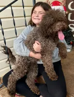 processed/94470309-b405-44a0-a614-8fdf27e81793/facility/612c78c8-c617-432d-9922-499d085d060a