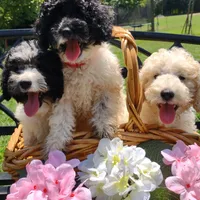 processed/94470309-b405-44a0-a614-8fdf27e81793/facility/92ff5d84-779e-4c31-bc9c-f0bafbb3e4cc