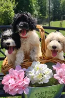 processed/94470309-b405-44a0-a614-8fdf27e81793/facility/92ff5d84-779e-4c31-bc9c-f0bafbb3e4cc