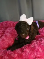 processed/94470309-b405-44a0-a614-8fdf27e81793/facility/f73990a1-f9ab-4cc1-8f10-2b85673af635