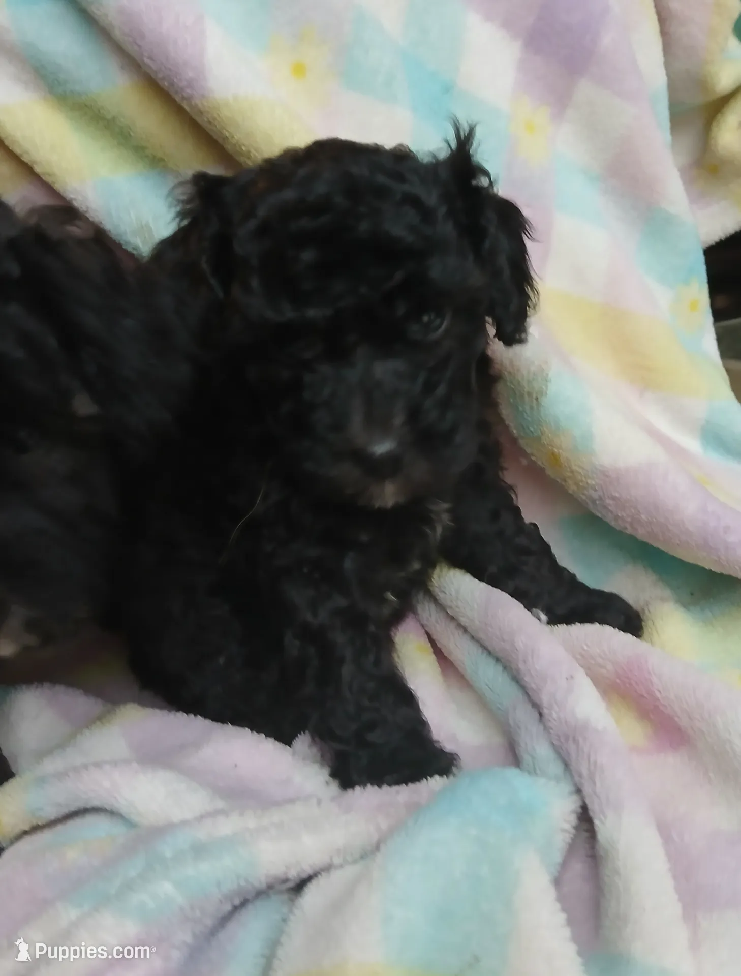 processed/94470309-b405-44a0-a614-8fdf27e81793/listing/30fa4a89-e047-434c-b5e1-1e4c816253df/14a8f08d-8f7c-45bc-9333-b76c0e57e311