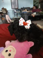 processed/94470309-b405-44a0-a614-8fdf27e81793/listing/30fa4a89-e047-434c-b5e1-1e4c816253df/3f195537-8f15-479a-b05e-aa1dea01d843