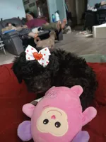 processed/94470309-b405-44a0-a614-8fdf27e81793/listing/30fa4a89-e047-434c-b5e1-1e4c816253df/4e67d6b7-685a-4ca5-bf70-c6ce5f84a4e1