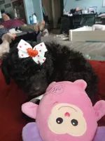 processed/94470309-b405-44a0-a614-8fdf27e81793/listing/30fa4a89-e047-434c-b5e1-1e4c816253df/7be10c55-1b55-4f66-8050-80729055e1f7