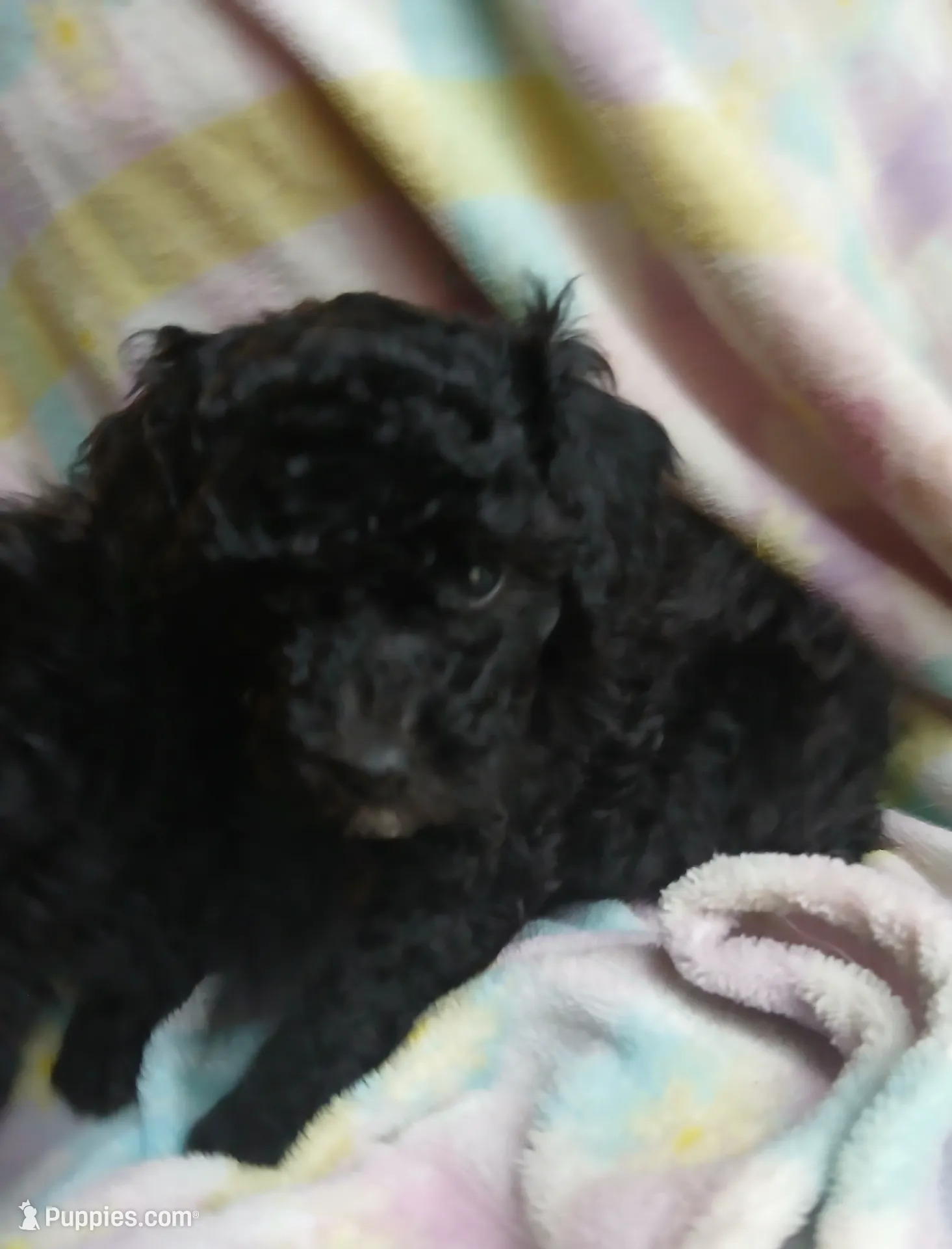 processed/94470309-b405-44a0-a614-8fdf27e81793/listing/30fa4a89-e047-434c-b5e1-1e4c816253df/af4ee009-f7d0-4b93-b1eb-882de57f2eba