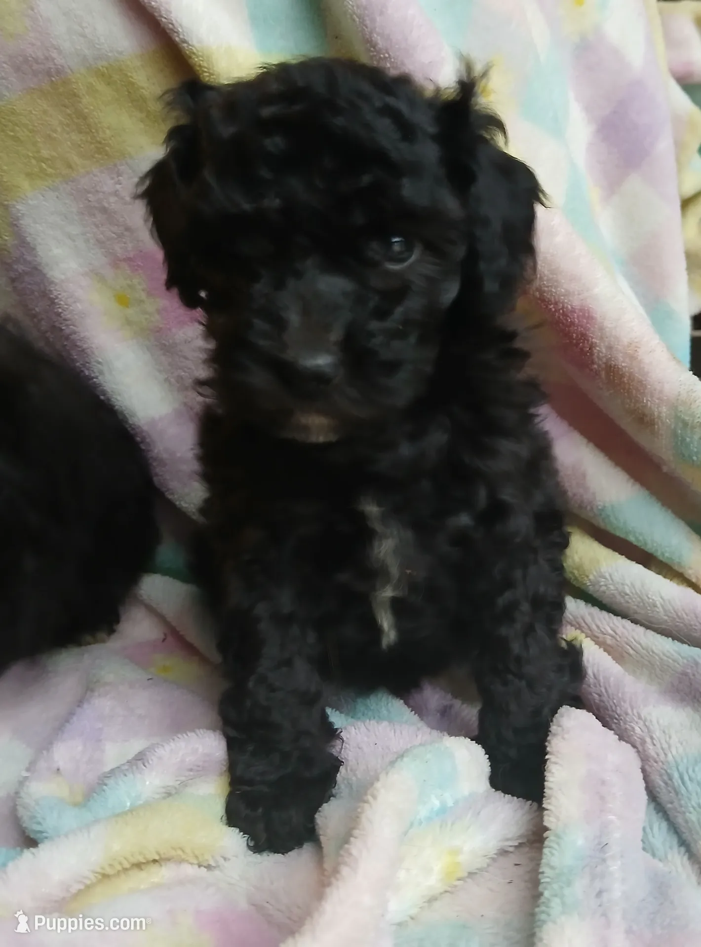 processed/94470309-b405-44a0-a614-8fdf27e81793/listing/30fa4a89-e047-434c-b5e1-1e4c816253df/c9c162d0-4356-48c5-8b6f-0d74fd8791de