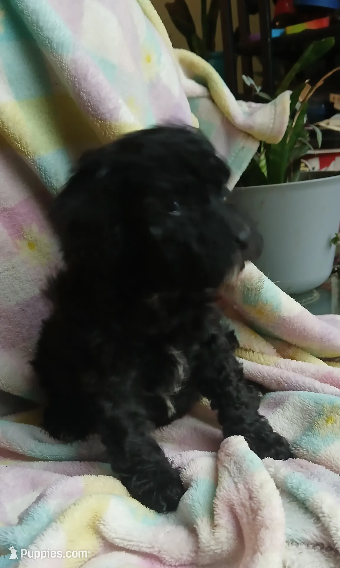 processed/94470309-b405-44a0-a614-8fdf27e81793/listing/30fa4a89-e047-434c-b5e1-1e4c816253df/e7983d0b-278a-4df0-9061-da6c1d594455