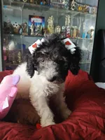 processed/94470309-b405-44a0-a614-8fdf27e81793/listing/525a0e98-ea25-4ebd-a391-e738d287f14e/02ee9f0d-ce85-4ba5-ad47-292859444b92