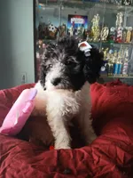 processed/94470309-b405-44a0-a614-8fdf27e81793/listing/525a0e98-ea25-4ebd-a391-e738d287f14e/3844ba84-f468-45cc-834d-f4fb1907274a