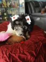 processed/94470309-b405-44a0-a614-8fdf27e81793/listing/525a0e98-ea25-4ebd-a391-e738d287f14e/b9b8dca7-4b2f-47a0-9b6a-3cd2b6dc0c9a