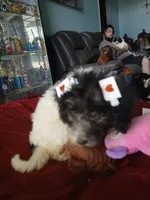 processed/94470309-b405-44a0-a614-8fdf27e81793/listing/525a0e98-ea25-4ebd-a391-e738d287f14e/cdb4162d-f9d8-4cd0-a729-0085fd84495c