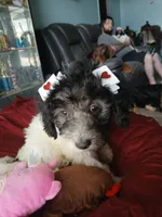 processed/94470309-b405-44a0-a614-8fdf27e81793/listing/525a0e98-ea25-4ebd-a391-e738d287f14e/e1a29780-d92f-4c26-abe5-c35bbac8f82e