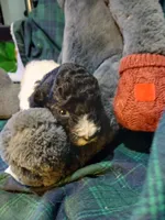 processed/94470309-b405-44a0-a614-8fdf27e81793/listing/81dda112-c86e-4623-8e44-71540015c778/191d1090-1b57-46b5-93a2-a43661ea059b