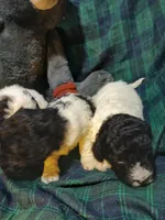 processed/94470309-b405-44a0-a614-8fdf27e81793/listing/81dda112-c86e-4623-8e44-71540015c778/4e3663ff-5404-4333-901a-a8d9714e10c2