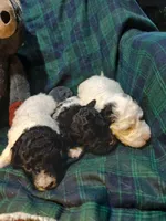 processed/94470309-b405-44a0-a614-8fdf27e81793/listing/81dda112-c86e-4623-8e44-71540015c778/863a5241-024c-4614-9fdf-835409bd885e