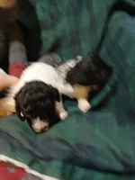 processed/94470309-b405-44a0-a614-8fdf27e81793/listing/81dda112-c86e-4623-8e44-71540015c778/ee68ff0d-e98e-4d44-a3ff-85a0f96a9410