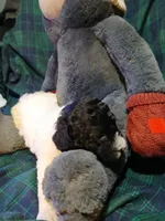 processed/94470309-b405-44a0-a614-8fdf27e81793/listing/81dda112-c86e-4623-8e44-71540015c778/f8ddb023-7dc7-4bdb-a0e8-0bda8713ba3a