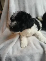 processed/94470309-b405-44a0-a614-8fdf27e81793/listing/89355b00-0544-4f94-a1d1-8ff4f352b5b2/46f7d246-e99c-48e1-ab0a-6665fb5eceef