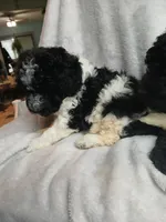 processed/94470309-b405-44a0-a614-8fdf27e81793/listing/89355b00-0544-4f94-a1d1-8ff4f352b5b2/fda927b8-4da7-4a3c-b4e7-113401e9b9a0