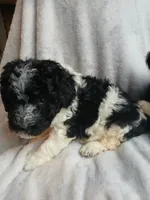 processed/94470309-b405-44a0-a614-8fdf27e81793/listing/89355b00-0544-4f94-a1d1-8ff4f352b5b2/fe61d5f9-14f7-410d-87c1-2c3eb91979c7