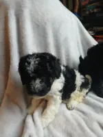 processed/94470309-b405-44a0-a614-8fdf27e81793/listing/89355b00-0544-4f94-a1d1-8ff4f352b5b2/fe8e4feb-70c0-4536-be94-482391699da5