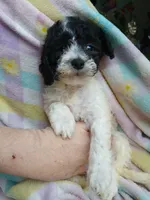 processed/94470309-b405-44a0-a614-8fdf27e81793/listing/898c40a6-cbf3-4bc8-808a-e1256c8541e9/c9fb3139-25ef-4d70-96cc-039ea9ab013a