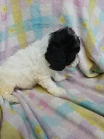 processed/94470309-b405-44a0-a614-8fdf27e81793/listing/898c40a6-cbf3-4bc8-808a-e1256c8541e9/e0b16f20-0fc6-4206-91cf-6452dd6d0868