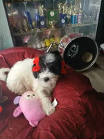 processed/94470309-b405-44a0-a614-8fdf27e81793/listing/8d0c1aa1-ebbf-4547-8293-008e96e92619/42de4f24-3cf8-4c94-9d82-e642f11de35d