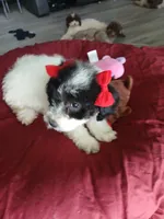 processed/94470309-b405-44a0-a614-8fdf27e81793/listing/8d0c1aa1-ebbf-4547-8293-008e96e92619/66070465-89d2-4b71-9730-13c44bad68cd