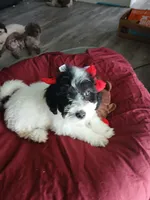 processed/94470309-b405-44a0-a614-8fdf27e81793/listing/8d0c1aa1-ebbf-4547-8293-008e96e92619/76d87d0e-efce-4583-936e-5f5e26d91566