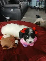 processed/94470309-b405-44a0-a614-8fdf27e81793/listing/8d0c1aa1-ebbf-4547-8293-008e96e92619/8e331471-5ef6-42d9-b6a2-d232be682807