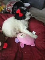 processed/94470309-b405-44a0-a614-8fdf27e81793/listing/8d0c1aa1-ebbf-4547-8293-008e96e92619/9e78a278-cccc-4ad3-9e6d-52643248d494