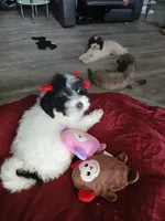 processed/94470309-b405-44a0-a614-8fdf27e81793/listing/8d0c1aa1-ebbf-4547-8293-008e96e92619/e1651f0e-5d36-4fc4-9a8b-4547fe329cfe