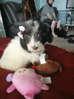 processed/94470309-b405-44a0-a614-8fdf27e81793/listing/8ec5ae88-8aea-4f89-ac9c-21311a119285/0133903f-9886-408d-a880-26e6e99ae957