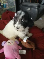 processed/94470309-b405-44a0-a614-8fdf27e81793/listing/8ec5ae88-8aea-4f89-ac9c-21311a119285/07000257-8661-4018-938d-a5c8d9c6b33c