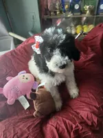 processed/94470309-b405-44a0-a614-8fdf27e81793/listing/8ec5ae88-8aea-4f89-ac9c-21311a119285/151e847e-596d-4564-a54d-c34694eb12a9