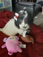 processed/94470309-b405-44a0-a614-8fdf27e81793/listing/8ec5ae88-8aea-4f89-ac9c-21311a119285/48422a5a-7e36-49ec-adfa-940d838a0a82