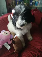 processed/94470309-b405-44a0-a614-8fdf27e81793/listing/8ec5ae88-8aea-4f89-ac9c-21311a119285/7bfbc3ff-aa31-453f-86ab-a1ec105bf34c