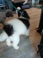 processed/94470309-b405-44a0-a614-8fdf27e81793/listing/de25ce2b-59a4-477b-ad9f-ce4e502330ea/0bef06f3-8678-43e8-851f-f2148f10dfe1