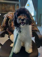 processed/94470309-b405-44a0-a614-8fdf27e81793/listing/de25ce2b-59a4-477b-ad9f-ce4e502330ea/2cc50bf3-c233-4b09-b498-41c1fb9f7a99