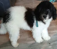 processed/94470309-b405-44a0-a614-8fdf27e81793/listing/de25ce2b-59a4-477b-ad9f-ce4e502330ea/36b47e72-b315-4d58-91d0-b94783bf7c74