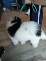 processed/94470309-b405-44a0-a614-8fdf27e81793/listing/de25ce2b-59a4-477b-ad9f-ce4e502330ea/74e4bee0-bb68-4d3f-80c5-a3f5f80d064d