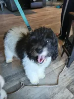 processed/94470309-b405-44a0-a614-8fdf27e81793/listing/de25ce2b-59a4-477b-ad9f-ce4e502330ea/9d71a57d-8236-478d-9d17-a4a3a48fc94a