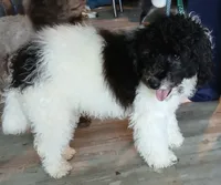 processed/94470309-b405-44a0-a614-8fdf27e81793/listing/de25ce2b-59a4-477b-ad9f-ce4e502330ea/9e9b2fd6-1d25-4601-9eb2-407f57030a45