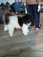 processed/94470309-b405-44a0-a614-8fdf27e81793/listing/de25ce2b-59a4-477b-ad9f-ce4e502330ea/a8359571-dd3d-4880-9897-ce355bca7870