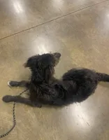 processed/94470309-b405-44a0-a614-8fdf27e81793/listing/fa20636e-3e41-422c-a9ad-0bb5c37020a5/31a647ca-33a8-47ba-a701-24047eebb34b