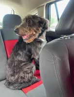 processed/94470309-b405-44a0-a614-8fdf27e81793/listing/fa20636e-3e41-422c-a9ad-0bb5c37020a5/451dfa0f-b385-49ec-a120-fb6c2752be17