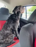 processed/94470309-b405-44a0-a614-8fdf27e81793/listing/fa20636e-3e41-422c-a9ad-0bb5c37020a5/8a3b311f-9b0e-48b7-90cf-1b8f25a5b325