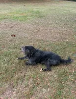 processed/94470309-b405-44a0-a614-8fdf27e81793/listing/fa20636e-3e41-422c-a9ad-0bb5c37020a5/bf249ab2-69ef-4d71-9adc-d14c213b6cec